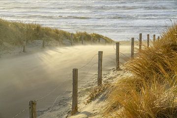 Strand, Meer und Sonne an einem stürmischen Abend! von Dirk van Egmond