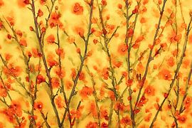 Warme Blüten von Thea