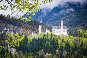 Schloss Neuschwanstein, Deutschland Süd von Rietje Bulthuis