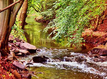 Hasseler Mühlenbach