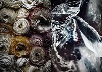 THE FUTURE OF OUR PLANET_PLASTIC SOIL N.03