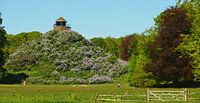 Seringenberg by Georges Hoeberechts thumbnail