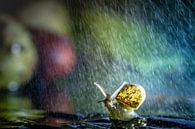 Regen-Spaß von Willian Goedhart Miniaturansicht