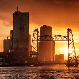 Sonnenuntergang Erasmus-Brücke | Rotterdam von Menno Verheij / #roffalove