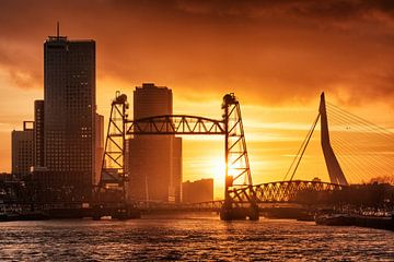 Zonsondergang aan de Maasboulevard | Rotterdam van Menno Verheij / #roffalove
