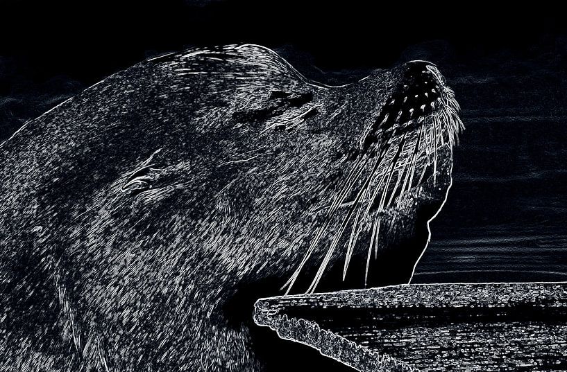 Zeeleeuw ( mannetje ) van Jose Lok