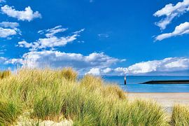 Dünengras und Meer
