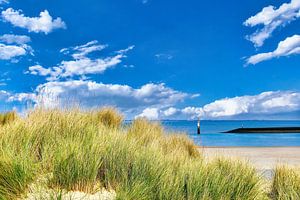 Dünengras und Meer