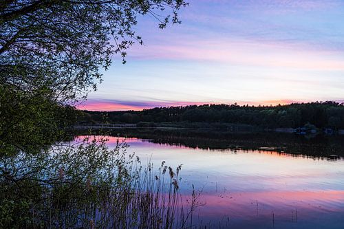 Bomen en zonsondergang bij de Nebelsee in het voorjaar in Lärz