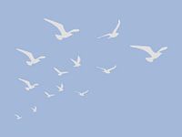 Zeemeeuwen Blauwe Achtergrond