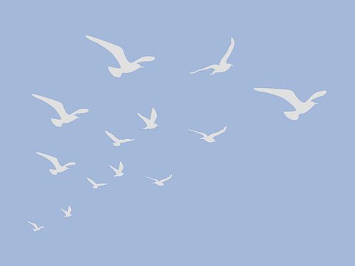 Zeemeeuwen Blauwe Achtergrond