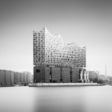 Elbphilharmonie (z/w) van Florian Schmidt
