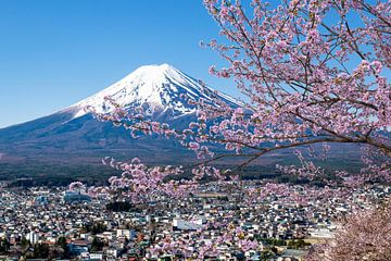 Schilderachtig uitzicht op de berg Fuji tijdens het kersenbloesemseizoen van Melanie Viola