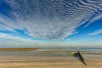 Westerschelde
