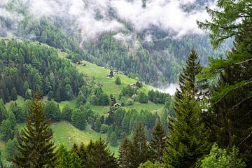 Bergwiese in der Schweiz von Ingrid Aanen