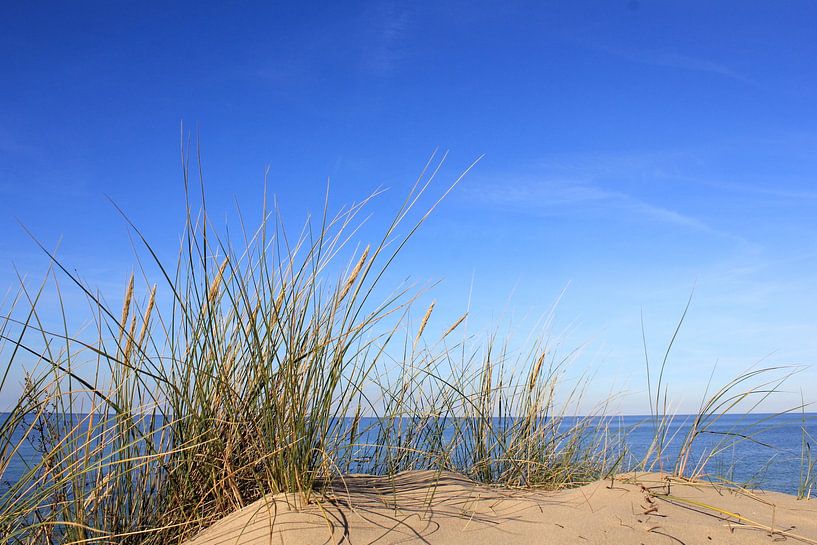 Betoverende duinen van Ostsee Bilder