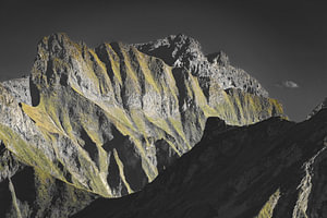 Der Schneck im letzten Licht