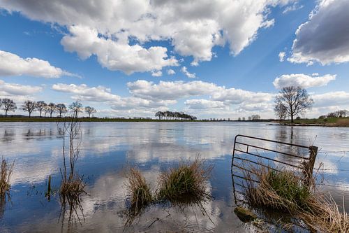 Aan de Maas bij Cuijk