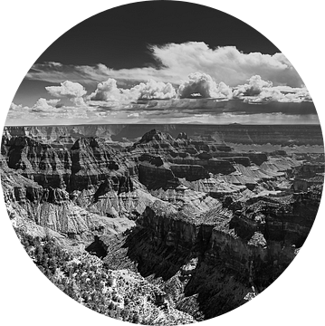 North Rim Grand Canyon in Zwart-Wit van Henk Meijer Photography