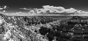 Grand Canyon in Schwarz und Weiß