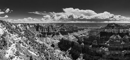 North Rim Grand Canyon in Zwart-Wit