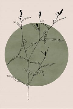 Wabi-sabi botanical flower Japandi no. 3 by Dina Dankers