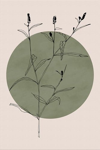 Wabi-sabi botanische bloem Japandi nr. 3