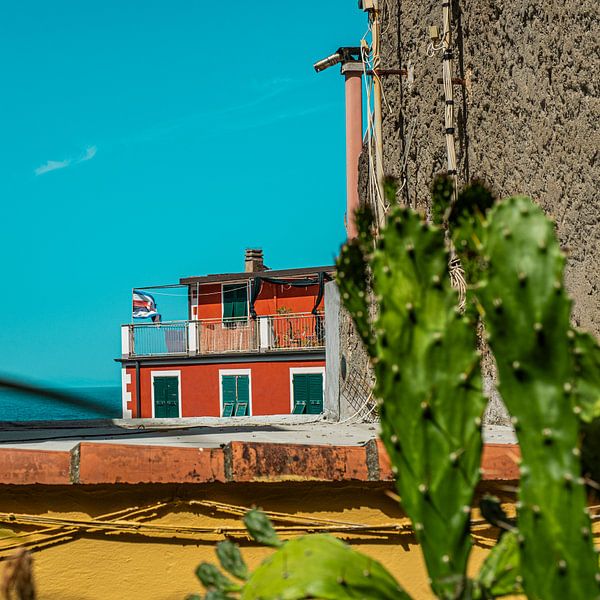 Colors of Cinque Terre by Lima Fotografie