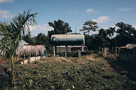 Che Guevara by Ruben Schouw