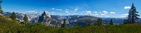 Yosemite Half Dome van Eric van den Berg thumbnail