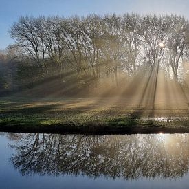 Zonsopkomst met zonnestralen in Deftse Hout in Delfgauw van Meindert van Dijk