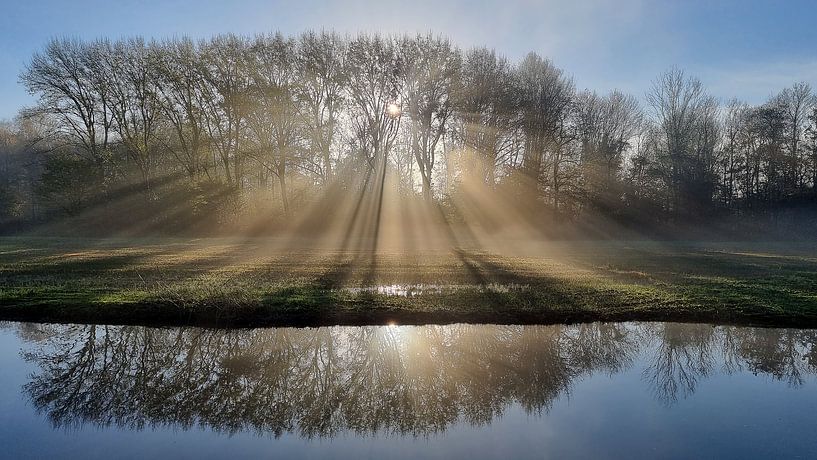 Zonsopkomst met zonnestralen in Deftse Hout in Delfgauw van Meindert van Dijk