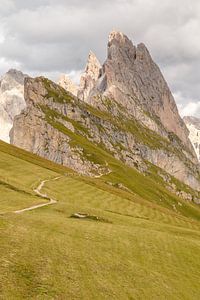Seceda Dolomites.