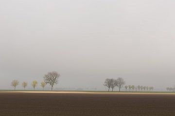 Polder Oldambt van Gerard Sterk