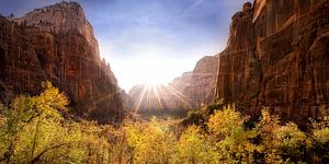 Weeping Rock im Zion Nationalpark USA