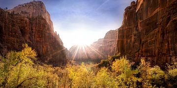 Treursteen in Zion National Park USA van Voss Fine Art Fotografie