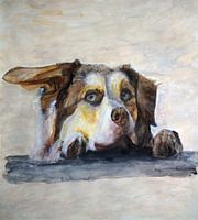 Bonzo