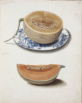Studie van een meloen op blauw porselein