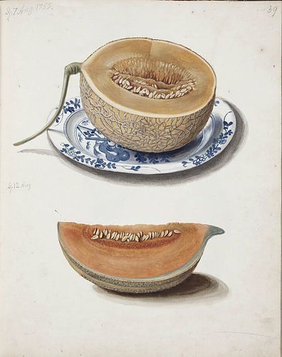 Studie van een meloen op blauw porselein