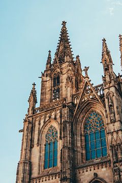 Close up van de Kathedraal van Barcelona van Bart Maat