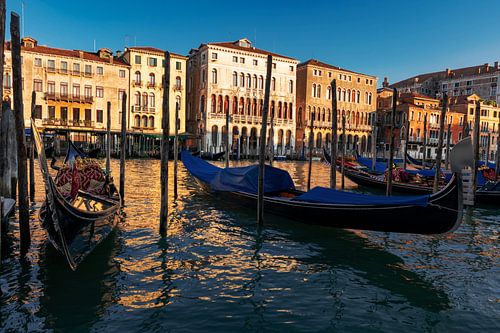 Gondels op het Canal Grande