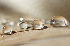 Up to you van Carla Mesken-Dijkhoff