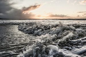 Splash
