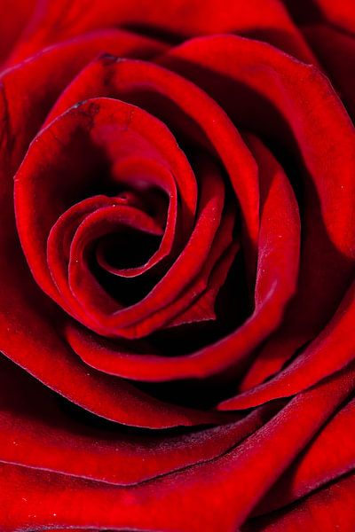 after all these years still together van mick agterberg