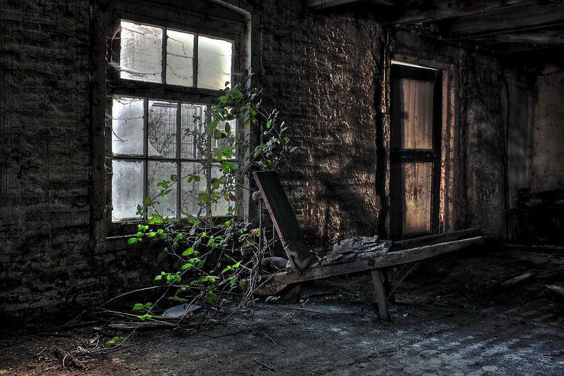 Brouette Urbex dans une usine de tuiles. par Dyon Koning
