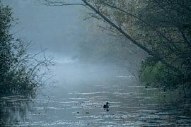 Domein den Inslag in Brasschaat by Bruno Hermans