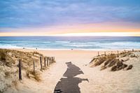 The sandy beaches of south west France