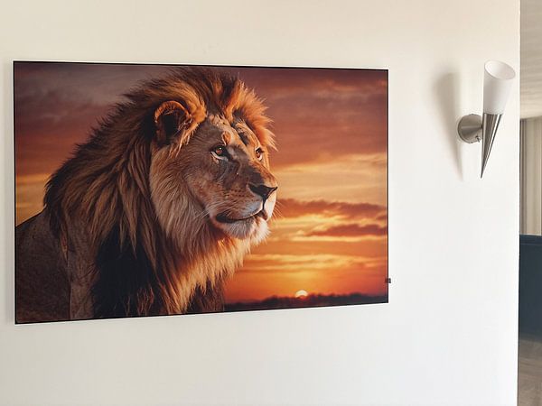 Klantfoto: Majestueuze leeuw bij zonsondergang van Art & Soul Creations, als ArtFrame