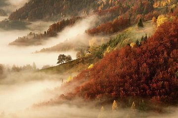 Mist in november van vmb switzerland