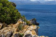 Kustlandschap voor het schiereiland La Victoria in Mallorca van Reiner Conrad thumbnail